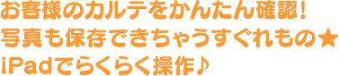 お客様のカルテをかんたん確認！写真も保存できちゃうすぐれもの☆iPadでらくらく操作♪
